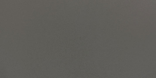Delfino
