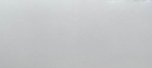 Iceberg
